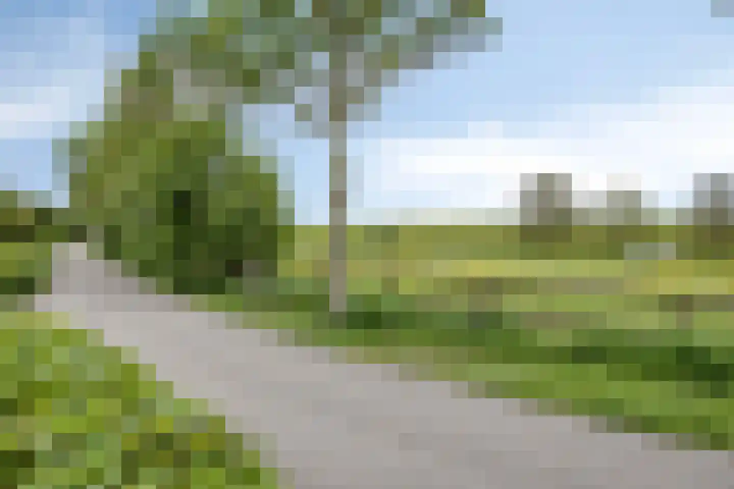 Leidijk 70 Bemmel thumbnail 33