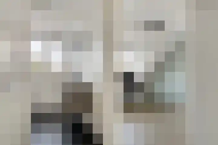 Leidjeskamp 30 Scherpenzeel thumbnail 17