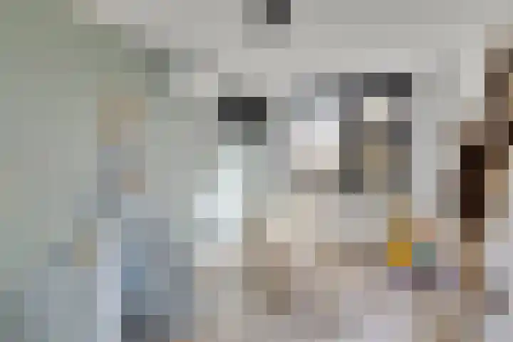 Leidjeskamp 30 Scherpenzeel thumbnail 20