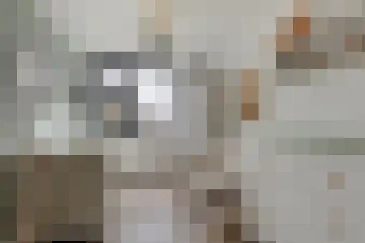 Leidjeskamp 30 Scherpenzeel thumbnail 22