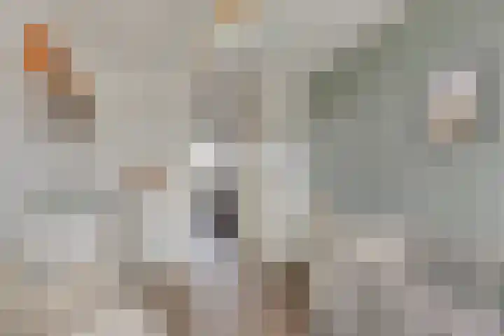 Leidjeskamp 30 Scherpenzeel thumbnail 23