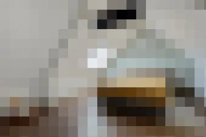 Leidjeskamp 30 Scherpenzeel thumbnail 25