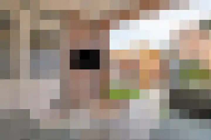 Leidjeskamp 30 Scherpenzeel thumbnail 27