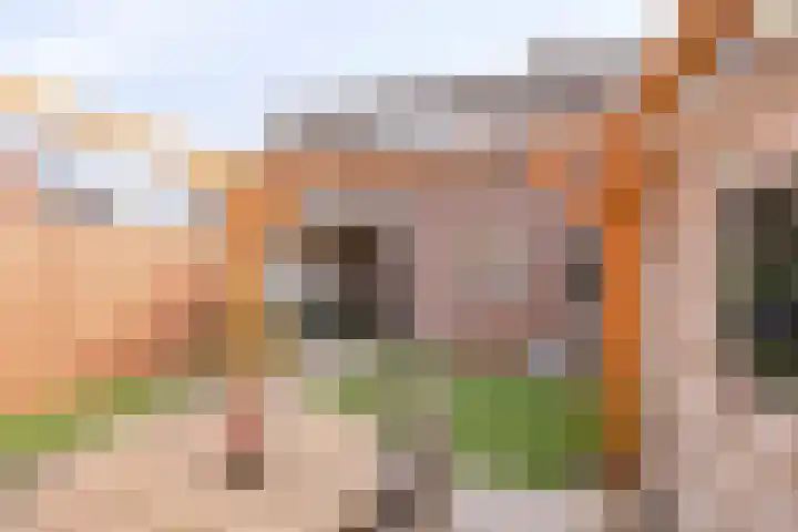 Leidjeskamp 30 Scherpenzeel thumbnail 32