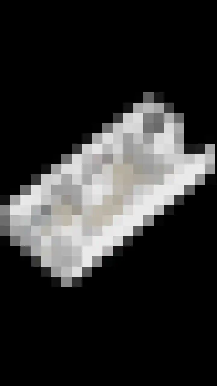 Leidjeskamp 30 Scherpenzeel thumbnail 43