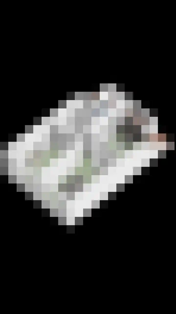 Leidjeskamp 30 Scherpenzeel thumbnail 44