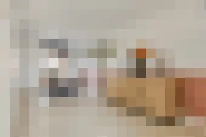 Leidjeskamp 30 Scherpenzeel thumbnail 8