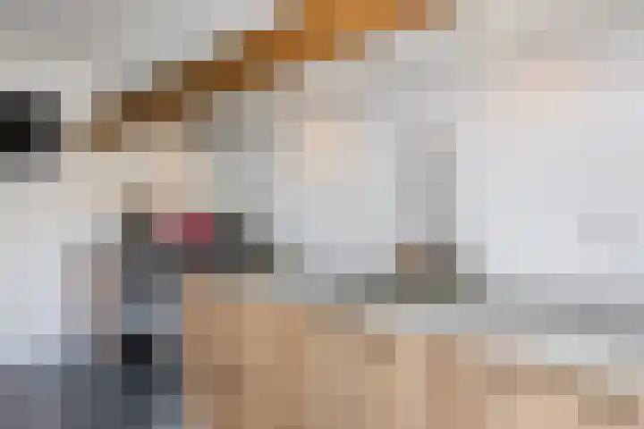 Leidjeskamp 53 Scherpenzeel thumbnail 16