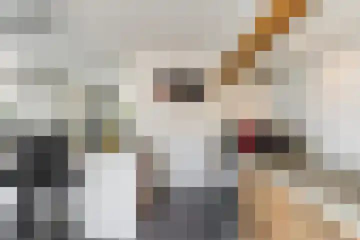 Leidjeskamp 53 Scherpenzeel thumbnail 18