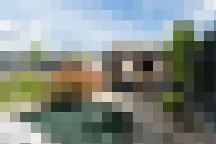 Leidjeskamp 53 Scherpenzeel thumbnail 35