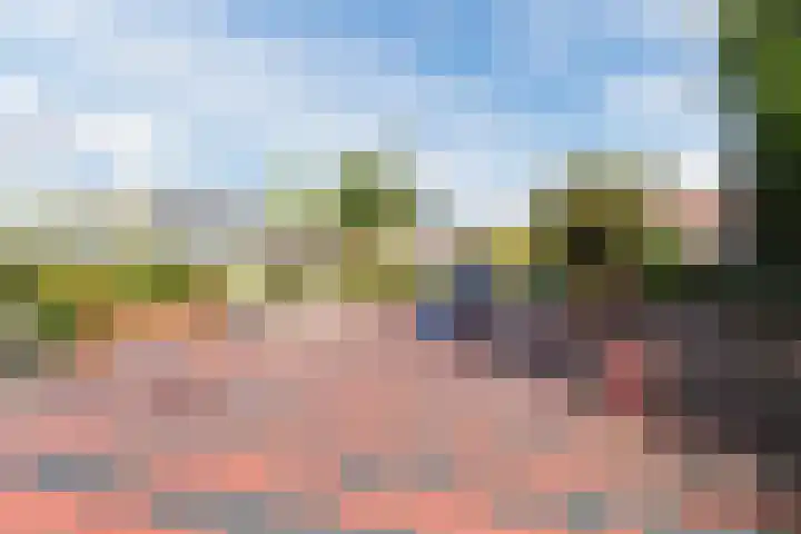 Leidjeskamp 53 Scherpenzeel thumbnail 44