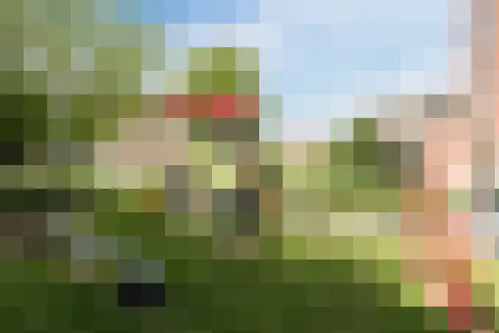 Leidjeskamp 53 Scherpenzeel thumbnail 45