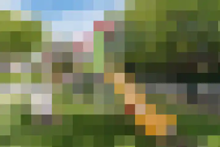 Leidjeskamp 53 Scherpenzeel thumbnail 46