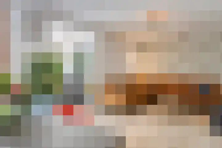 Leidschendamstraat 101 Tilburg thumbnail 10