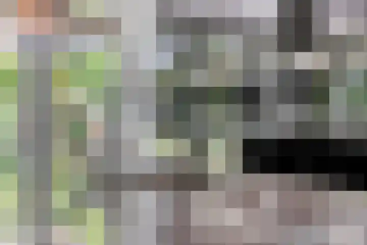 Leidschendamstraat 101 Tilburg thumbnail 17