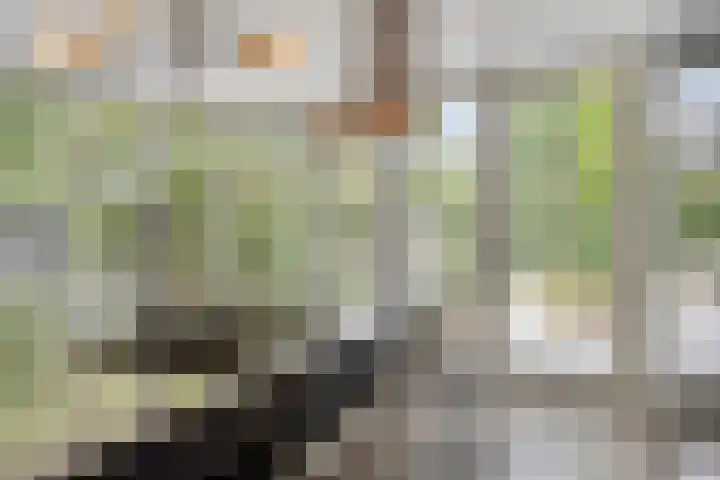 Leidschendamstraat 101 Tilburg thumbnail 20