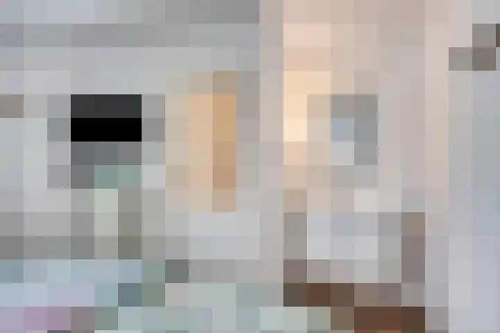 Leidschendamstraat 101 Tilburg thumbnail 24