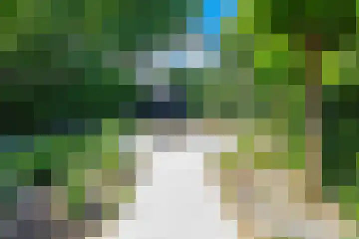 Leidschendamstraat 101 Tilburg thumbnail 4