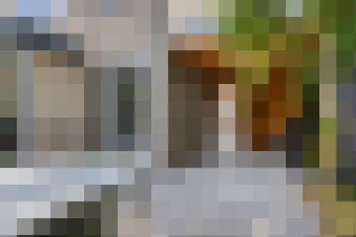 Leidschendamstraat 101 Tilburg thumbnail 41