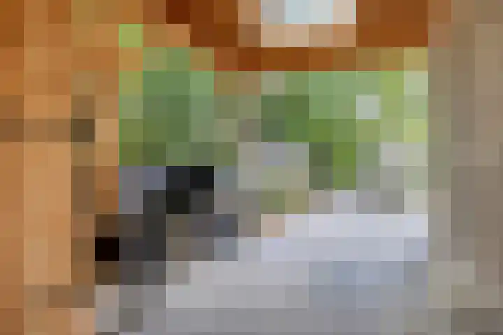 Leidschendamstraat 101 Tilburg thumbnail 48