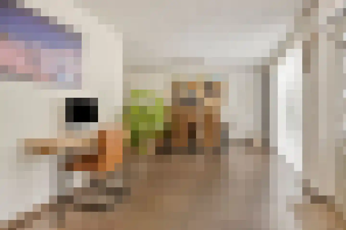 Leidschendamstraat 23 Tilburg thumbnail 11