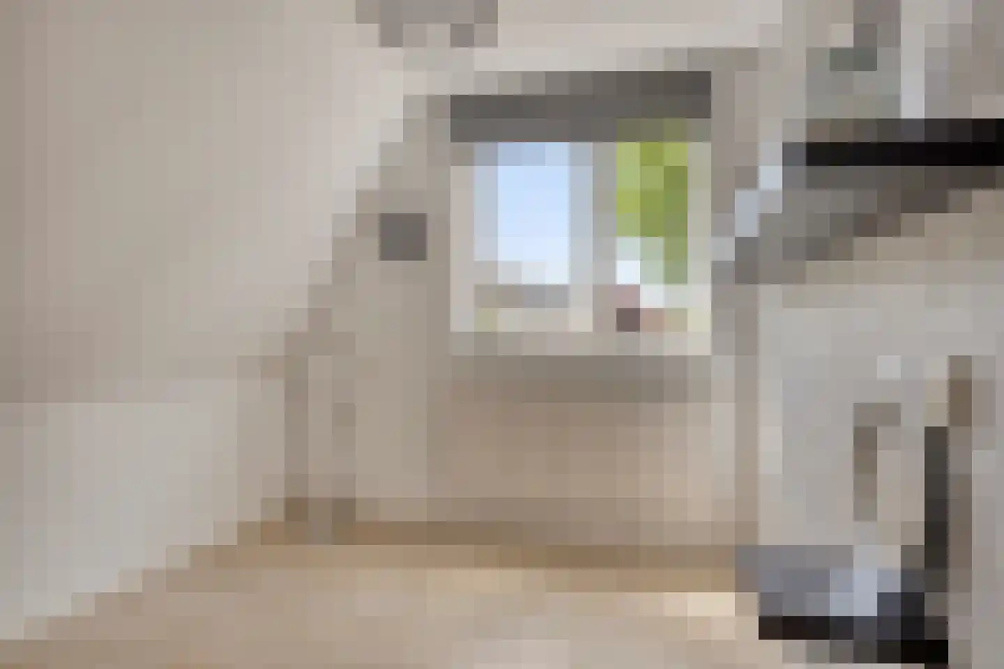 Leidschendamstraat 23 Tilburg thumbnail 25