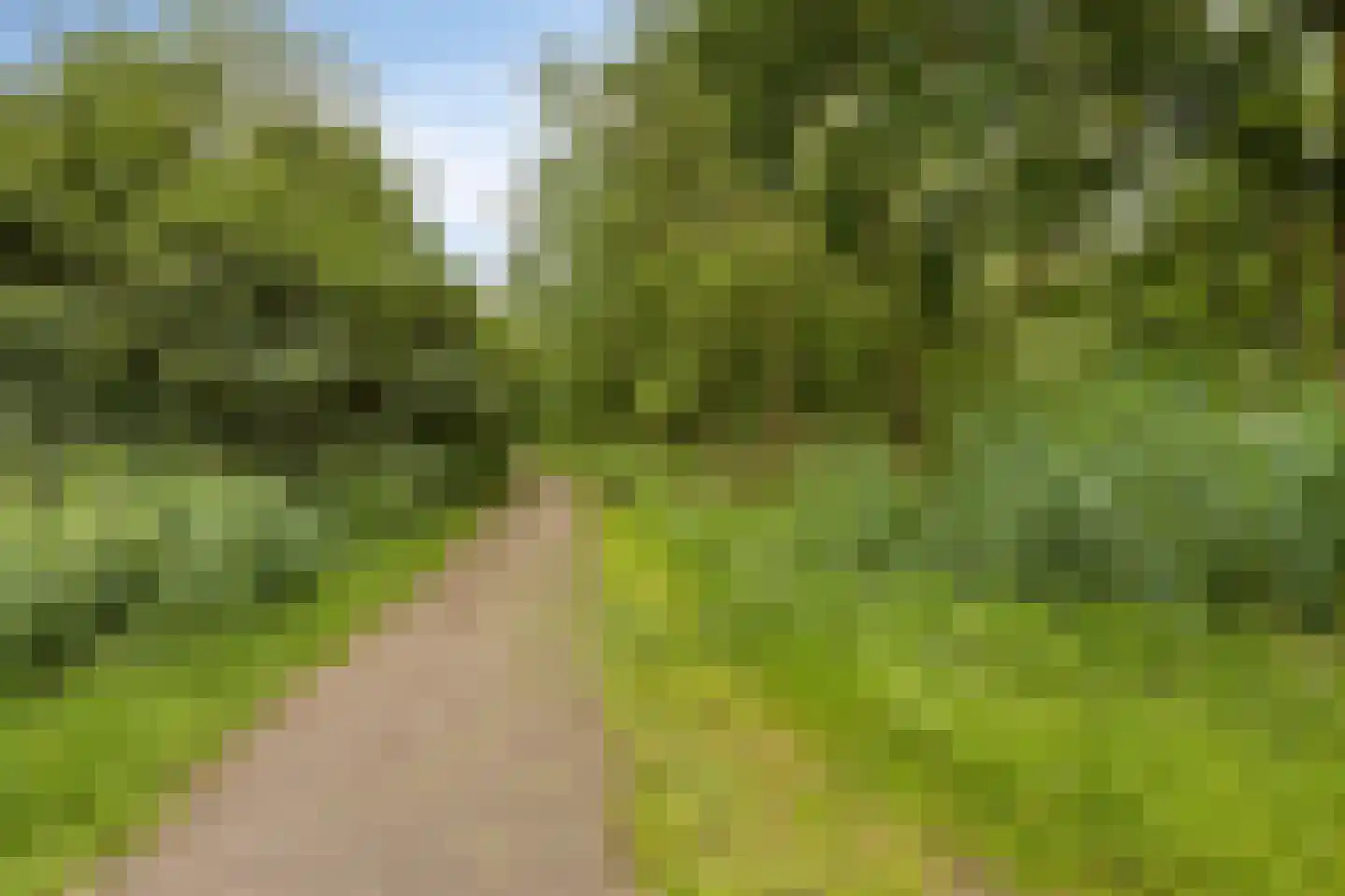 Leidschendamstraat 23 Tilburg thumbnail 34
