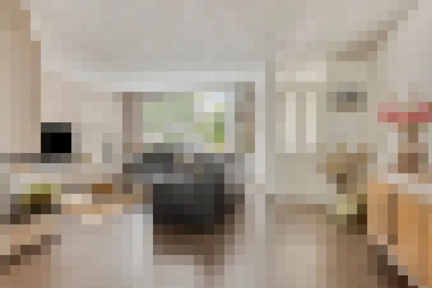 Leidschendamstraat 23 Tilburg thumbnail 4
