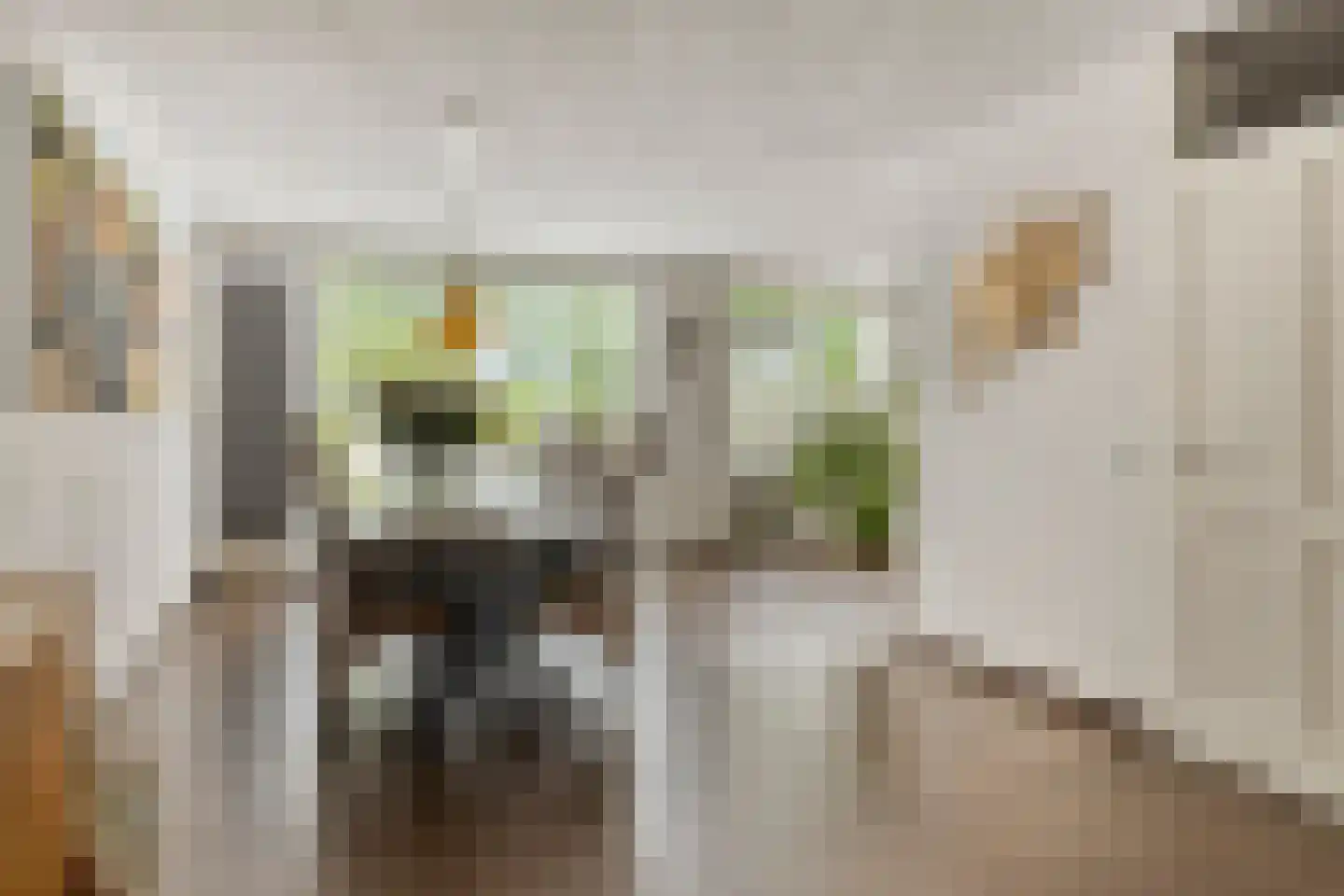 Leidschendamstraat 23 Tilburg thumbnail 8