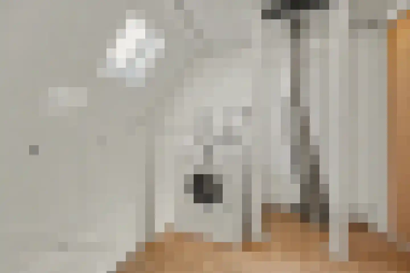Leidschendamstraat 28 Tilburg thumbnail 24