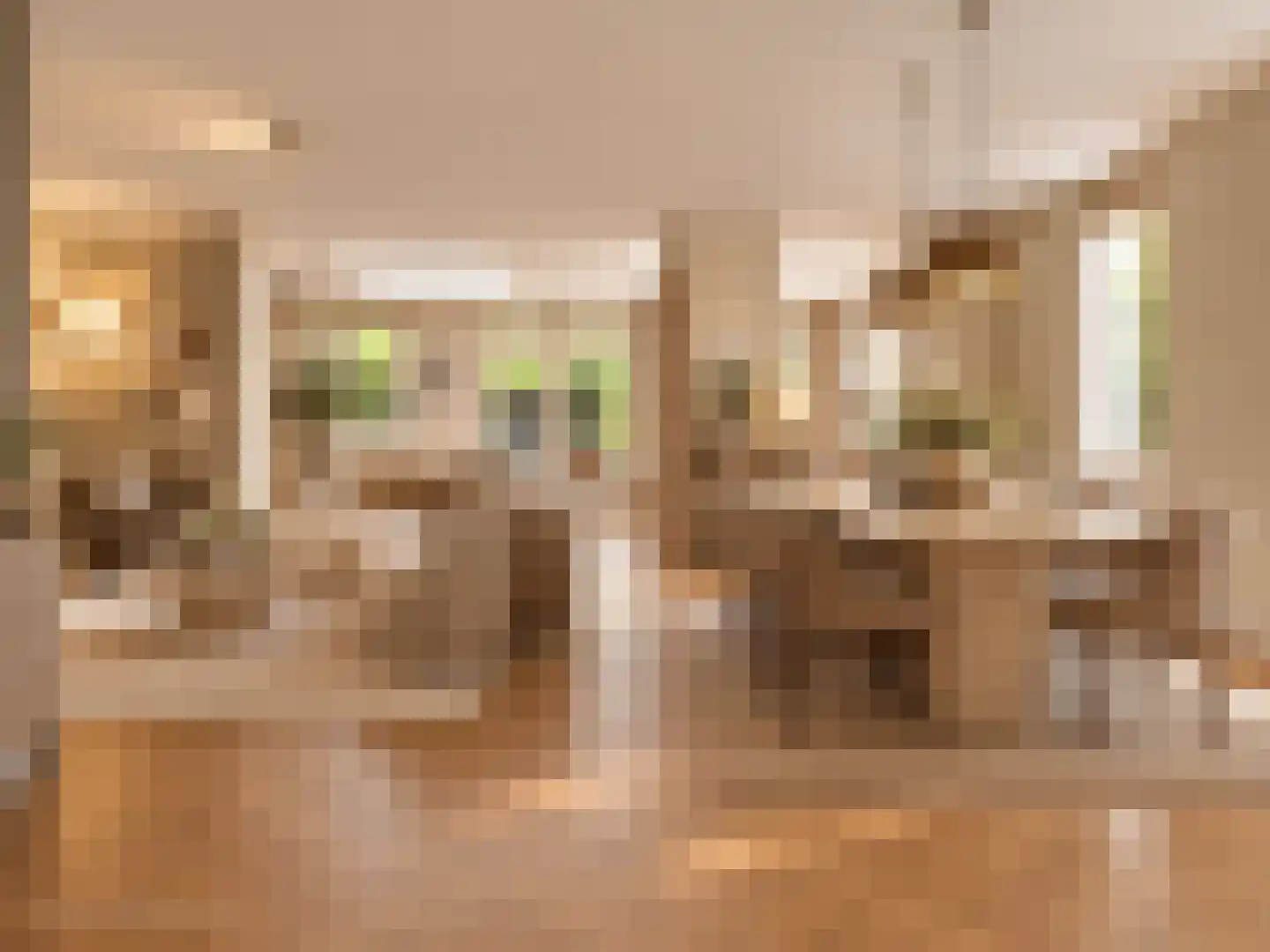 Leidschendamstraat 55 Tilburg thumbnail 10