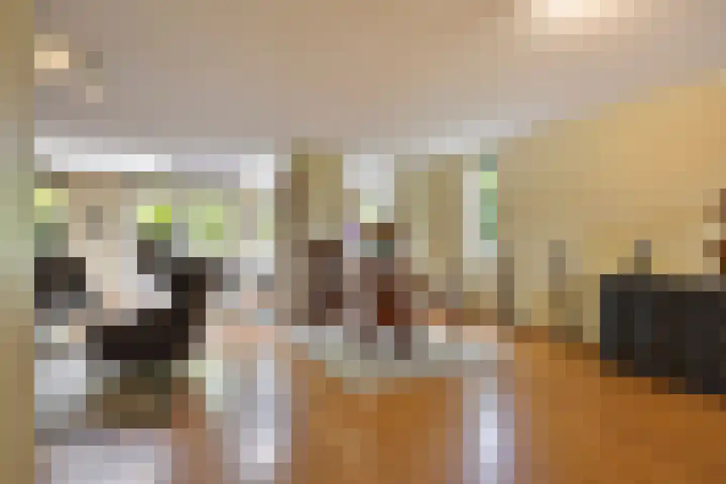Leidschendamstraat 55 Tilburg thumbnail 11