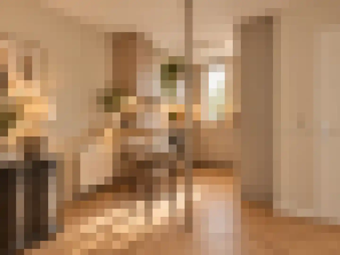 Leidschendamstraat 55 Tilburg thumbnail 18