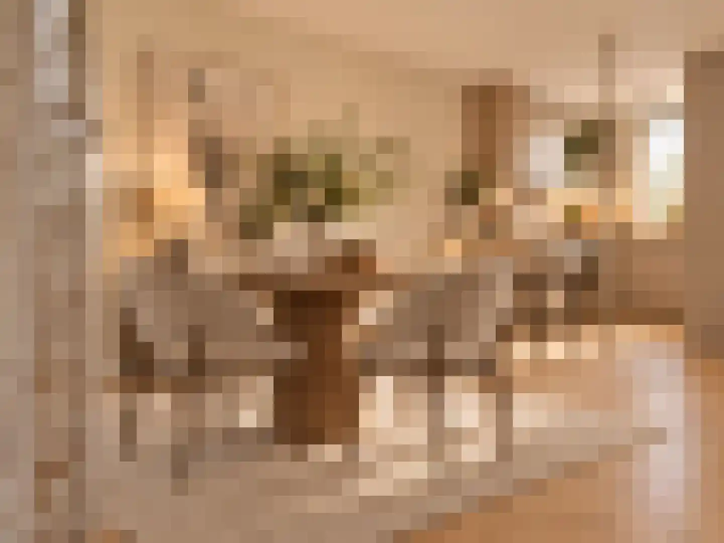 Leidschendamstraat 55 Tilburg thumbnail 24