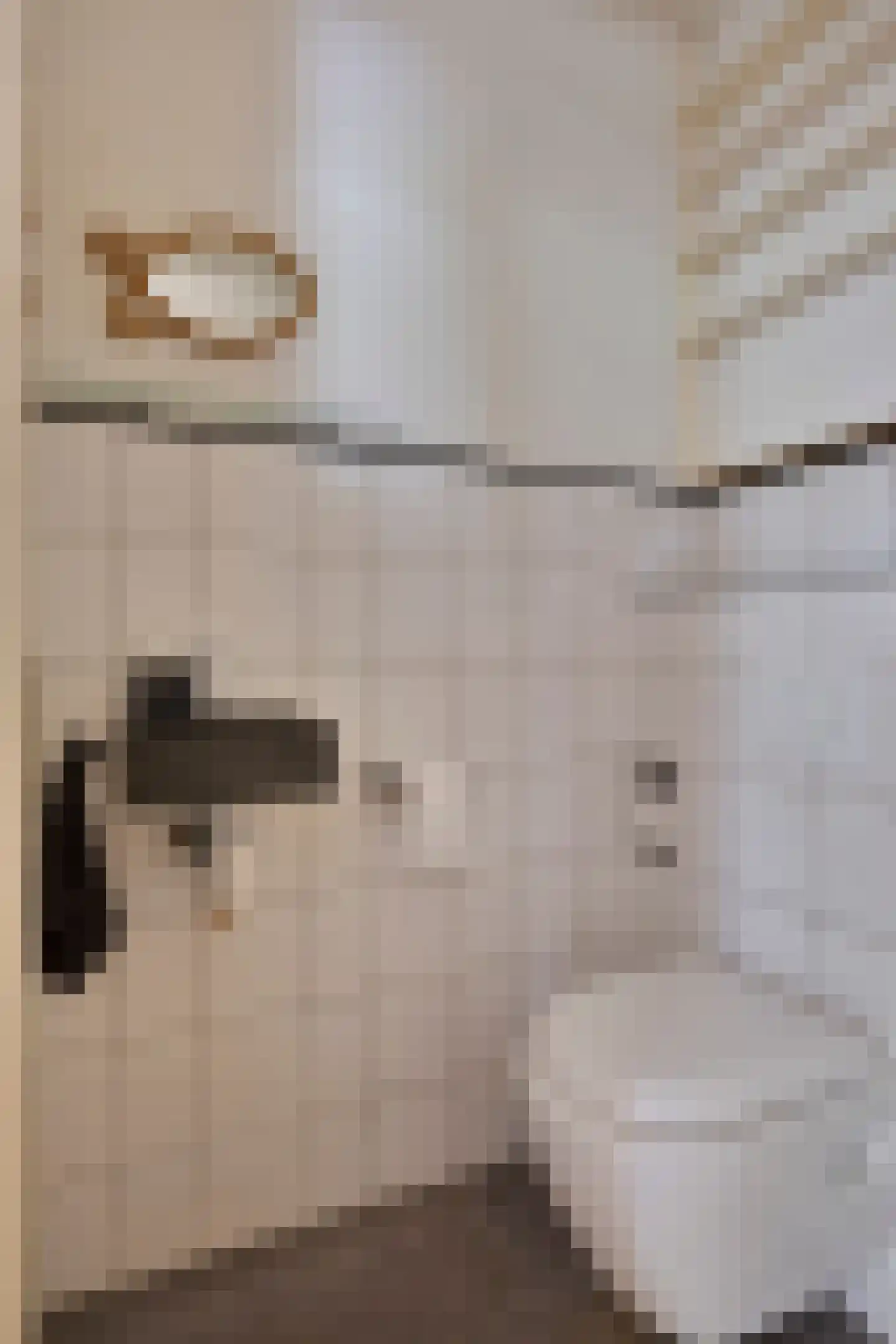 Leidschendamstraat 55 Tilburg thumbnail 26