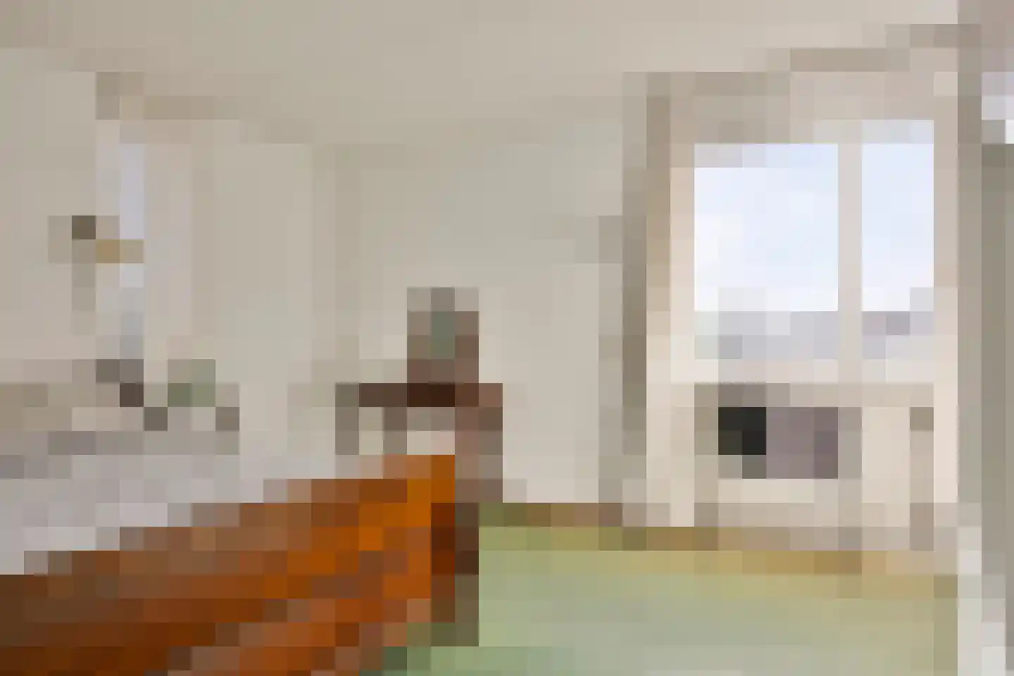 Leidschendamstraat 55 Tilburg thumbnail 33