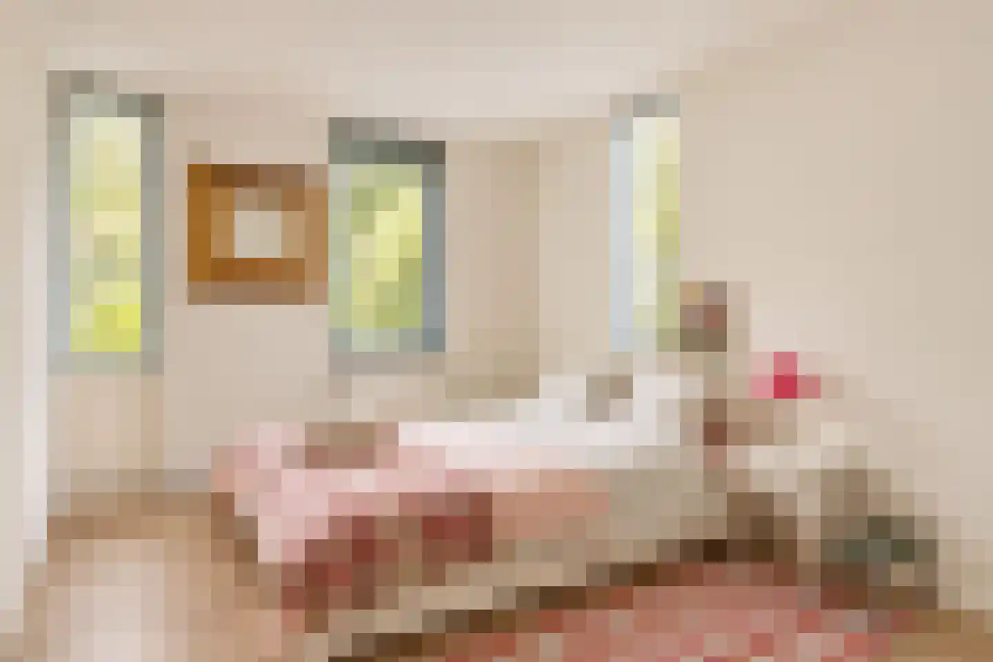 Leidschendamstraat 55 Tilburg thumbnail 39