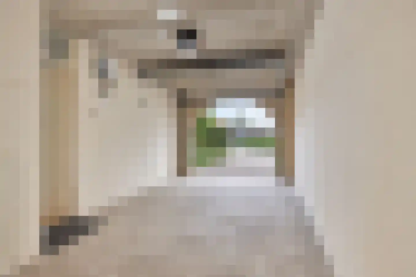 Leidschendamstraat 55 Tilburg thumbnail 48