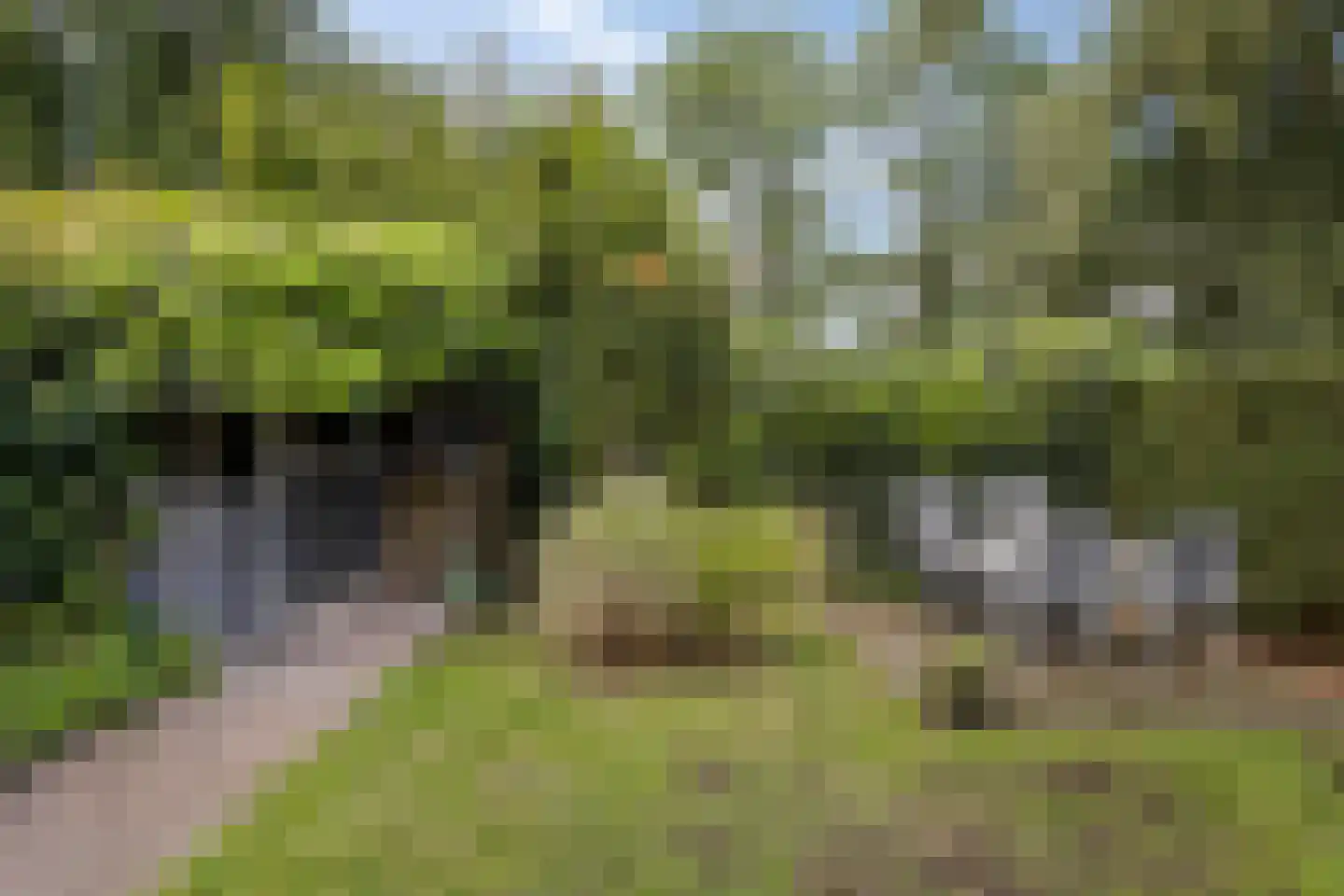 Leidschendamstraat 55 Tilburg thumbnail 53