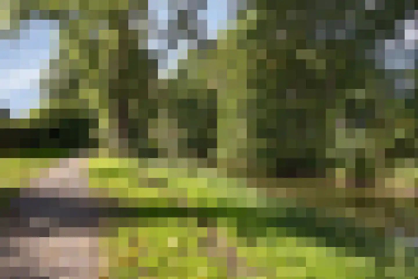 Leidschendamstraat 55 Tilburg thumbnail 55