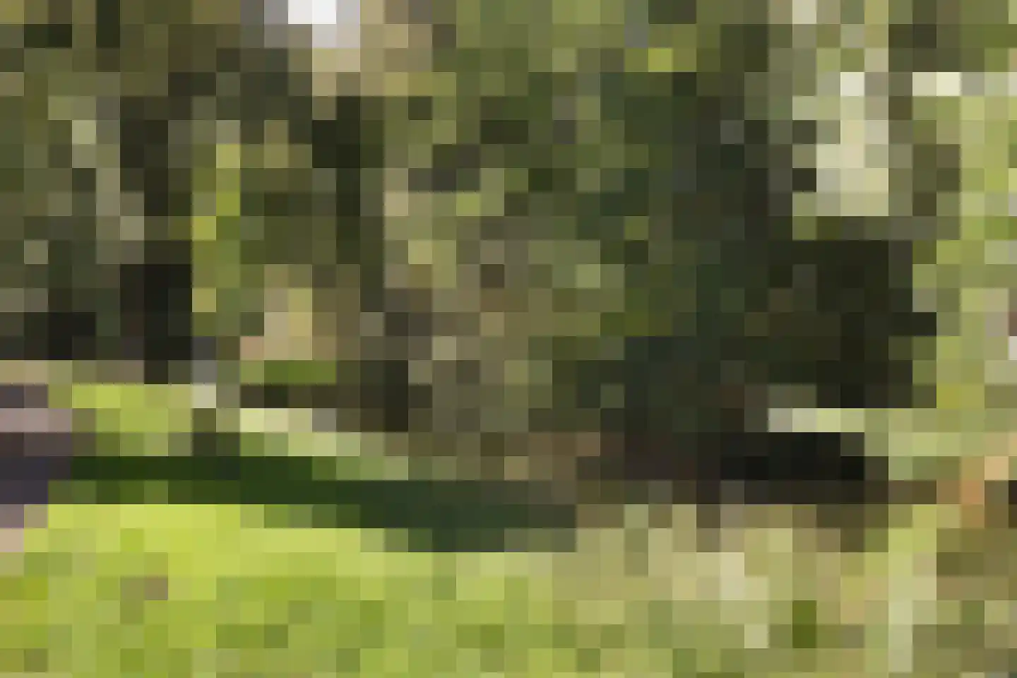 Leidschendamstraat 55 Tilburg thumbnail 56
