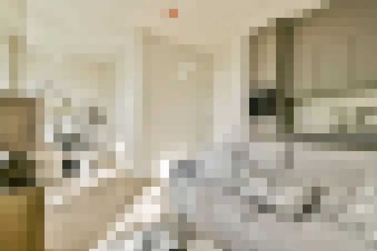 Leidsegracht 110 2 Amsterdam thumbnail 4