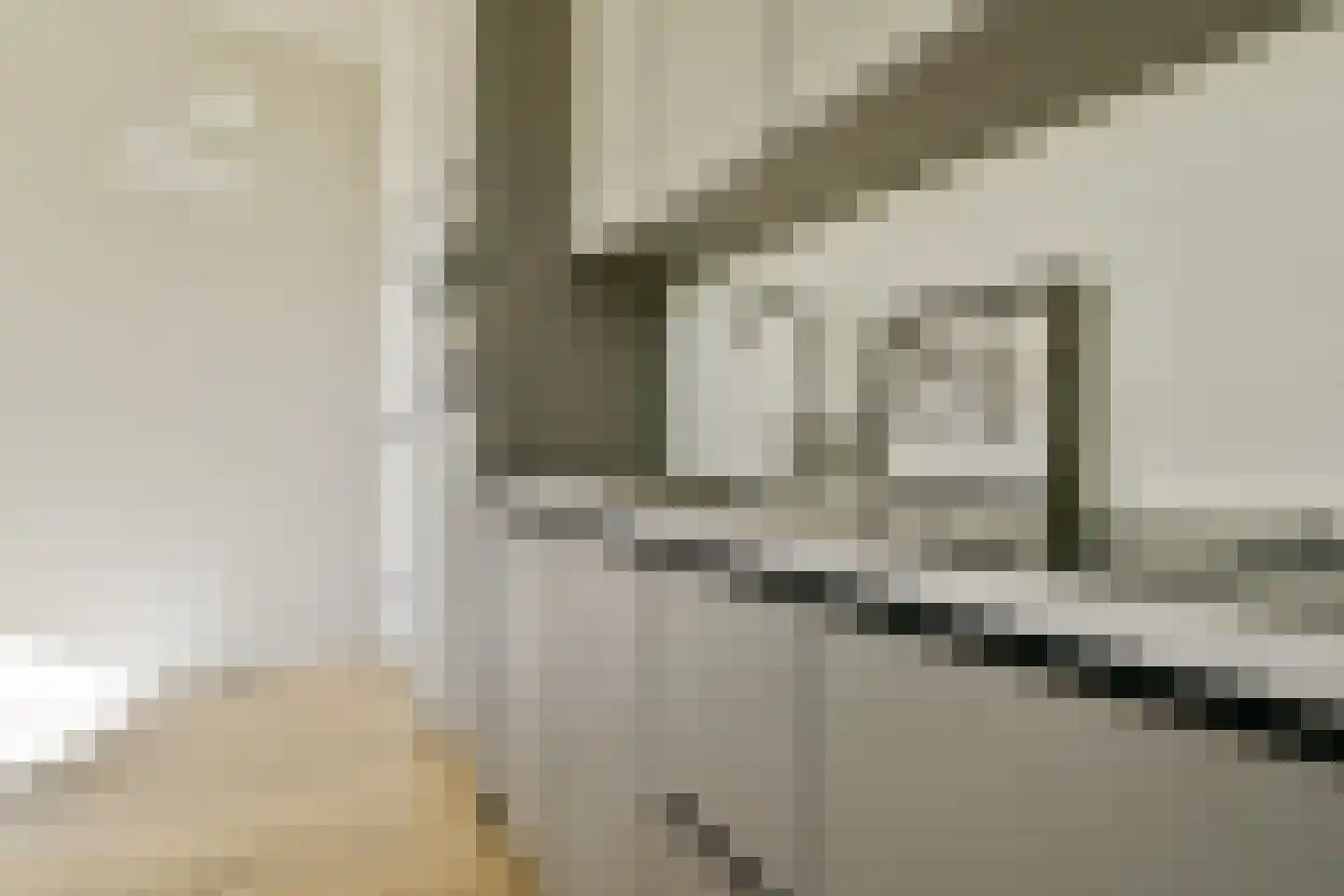 Leidsegracht 110 2 Amsterdam thumbnail 5