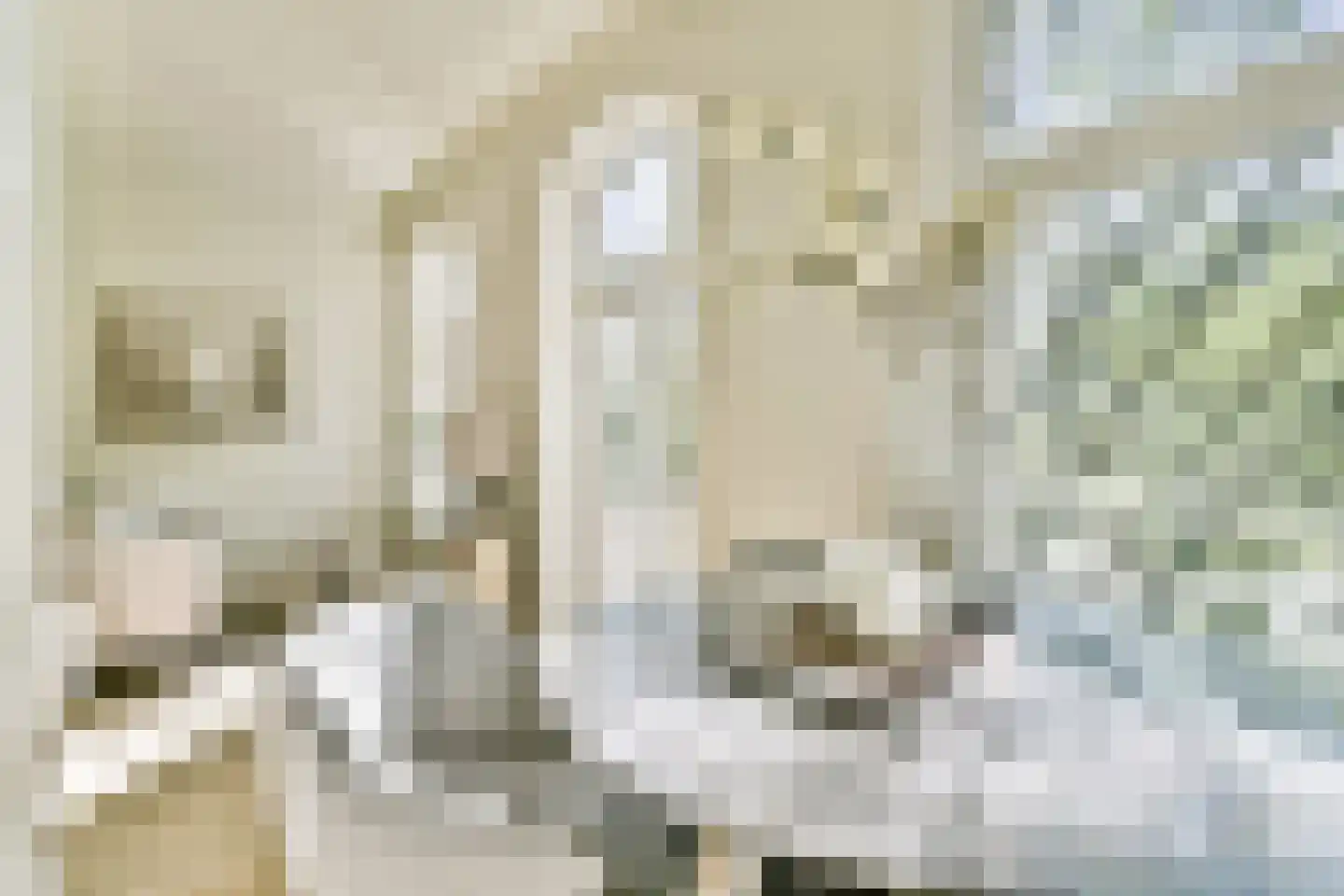Leidsegracht 110 2 Amsterdam thumbnail 6