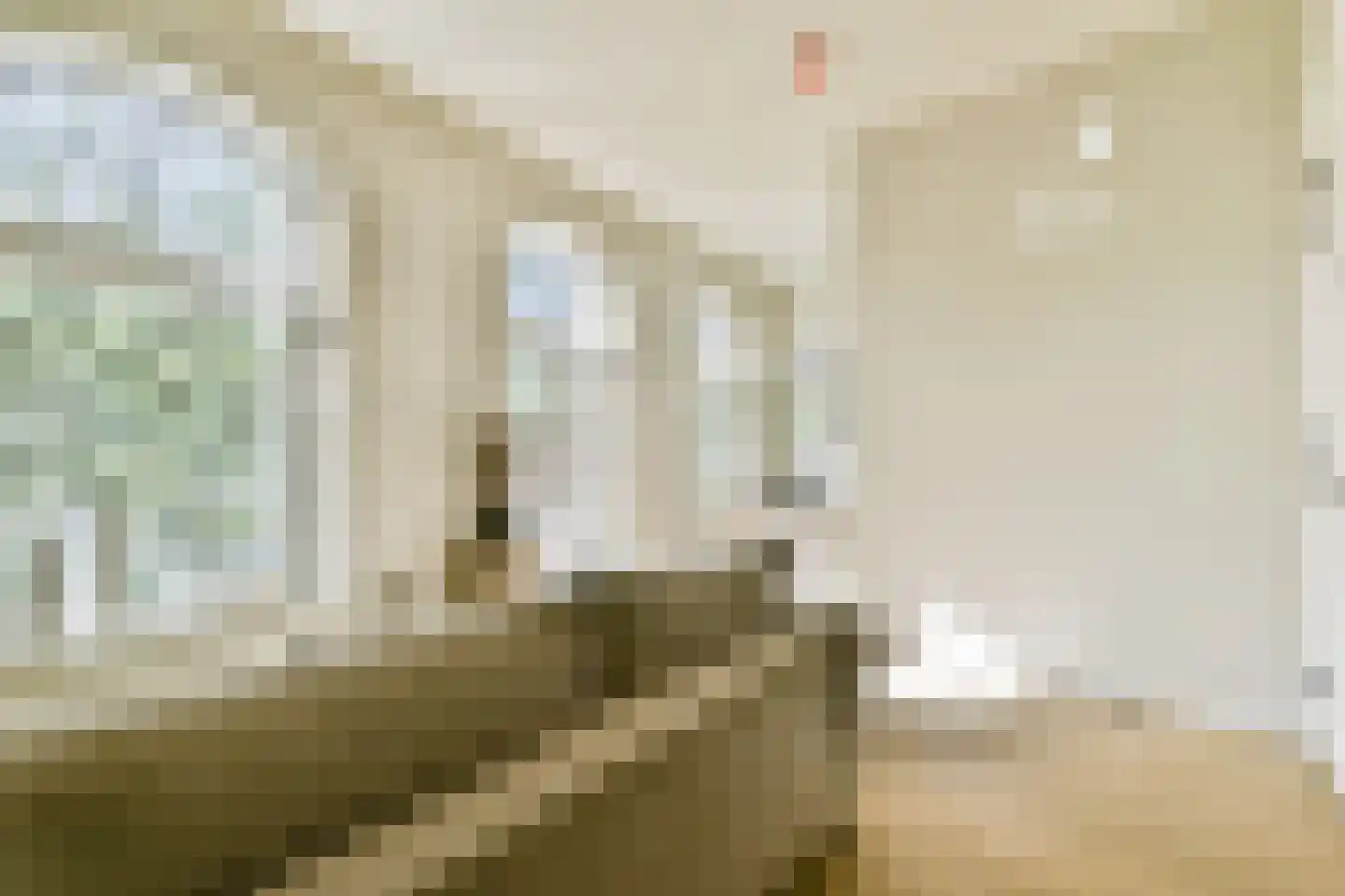 Leidsegracht 110 2 Amsterdam thumbnail 8