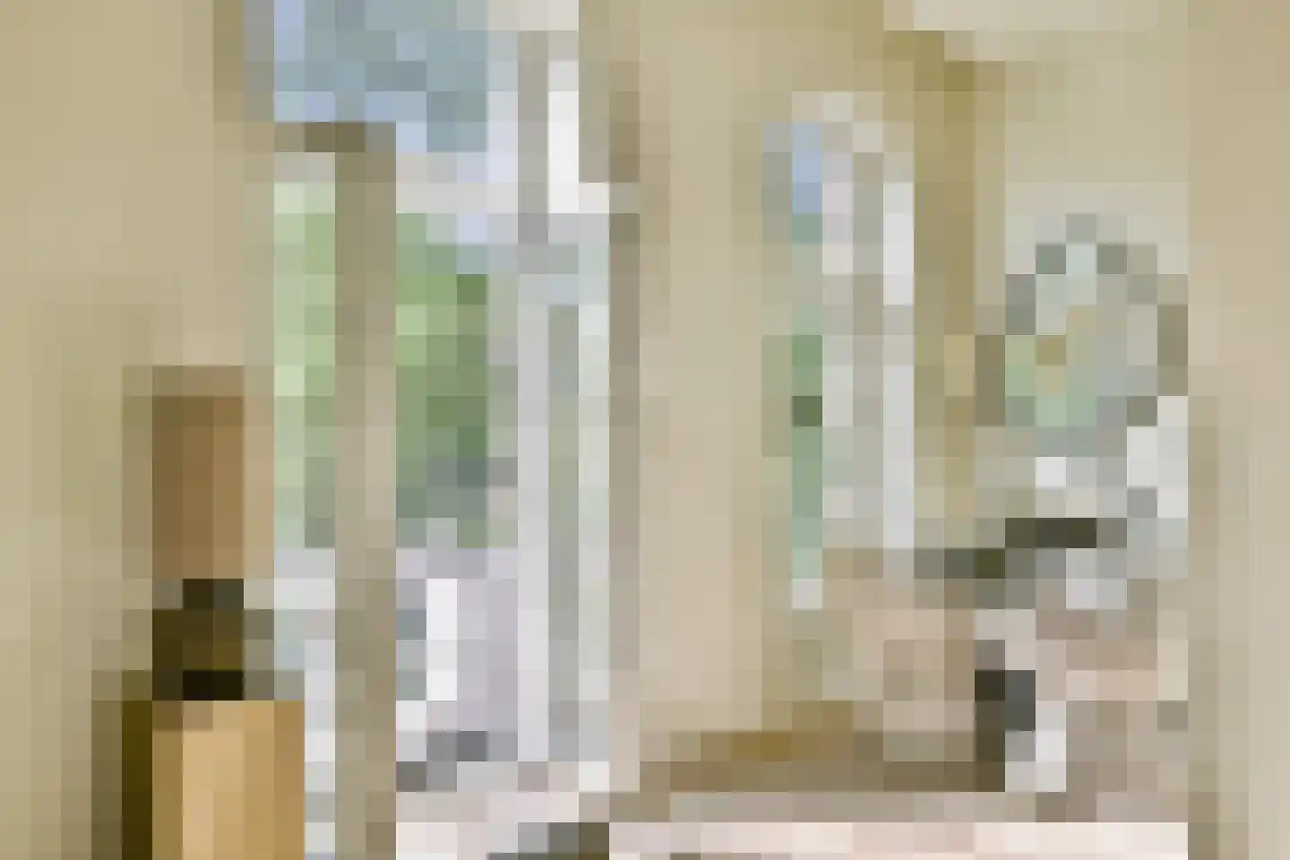 Leidsegracht 110 2 Amsterdam thumbnail 9