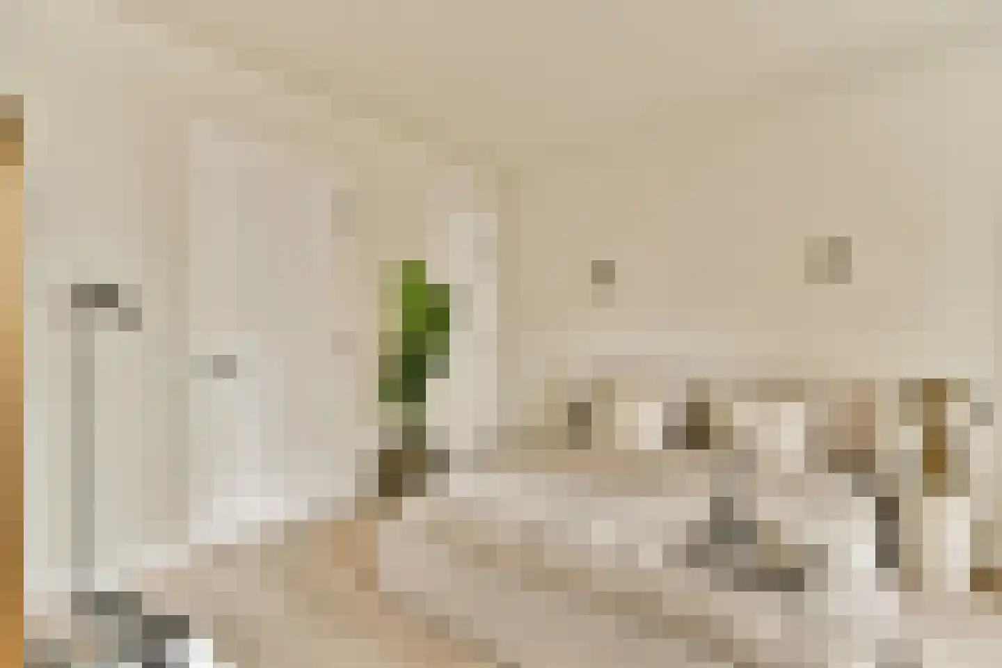 Leidsegracht 110 D Amsterdam thumbnail 6