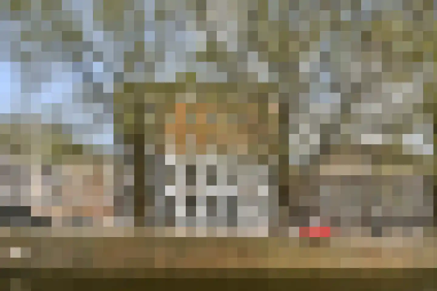 Leidsegracht 110 D Amsterdam thumbnail 9
