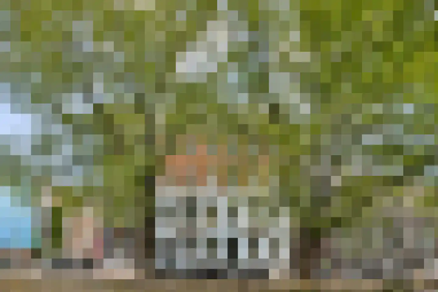 Leidsegracht 110 E Amsterdam thumbnail 17