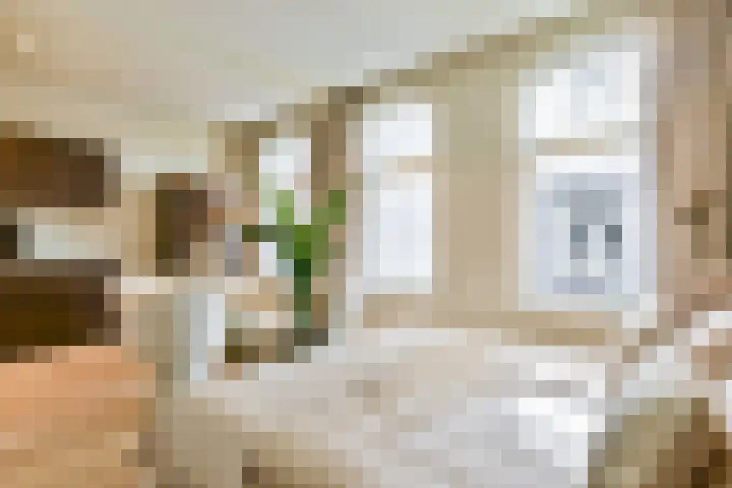 Leidsegracht 110 E Amsterdam thumbnail 5